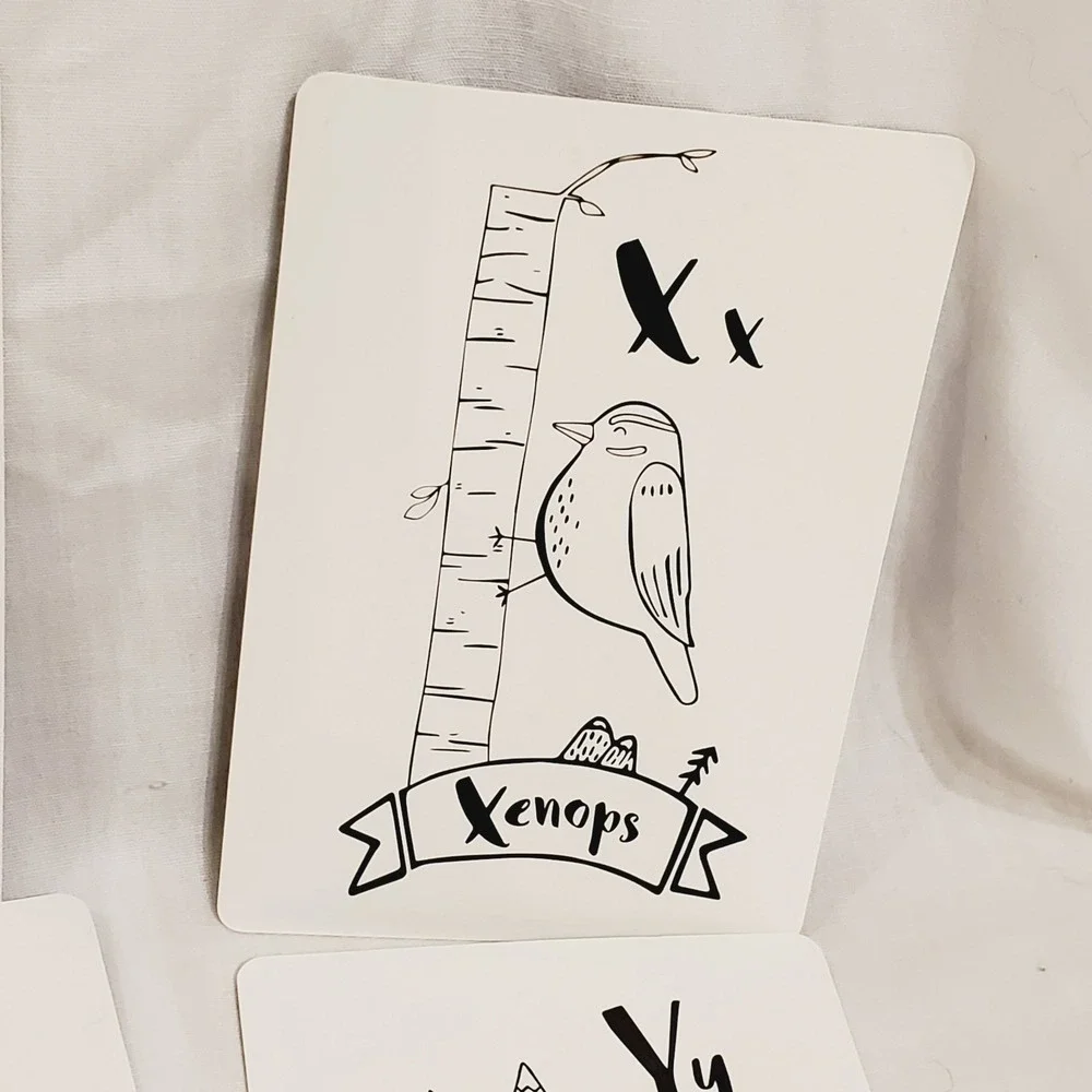 Animal Alphabet Number Cards Yolo Kids Educational Box Has Issues‎